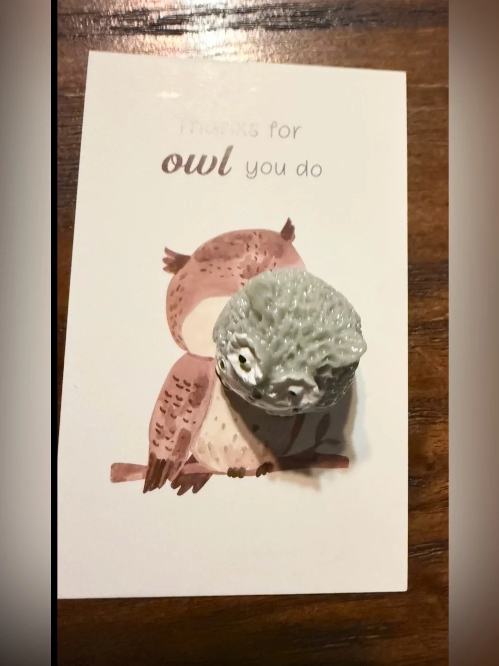 $2 Owl Thank You Card set $2 WITH ANY $10 Order or mote